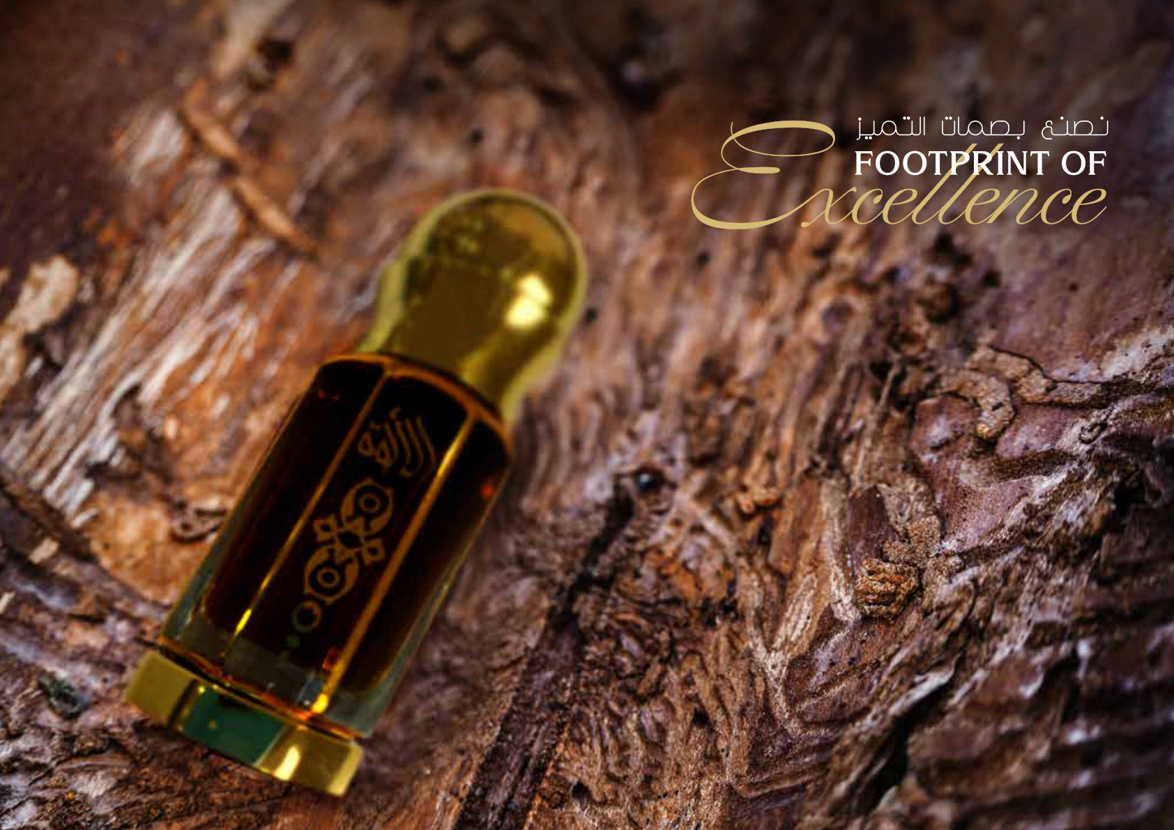 Footprint of Excellence