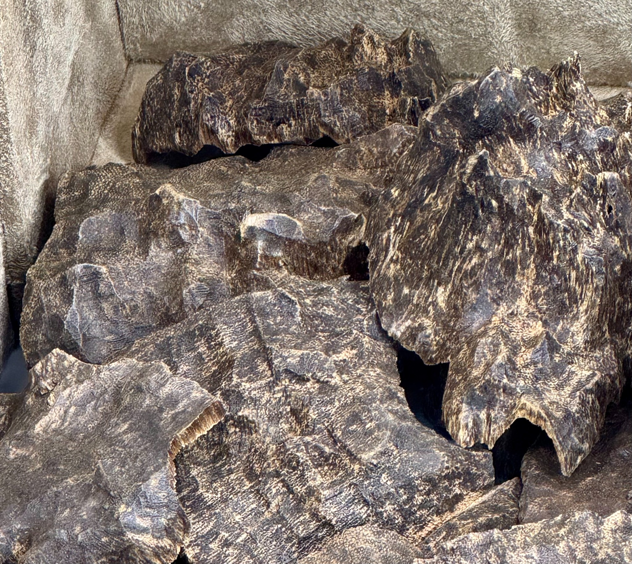Cambodian Super Oud