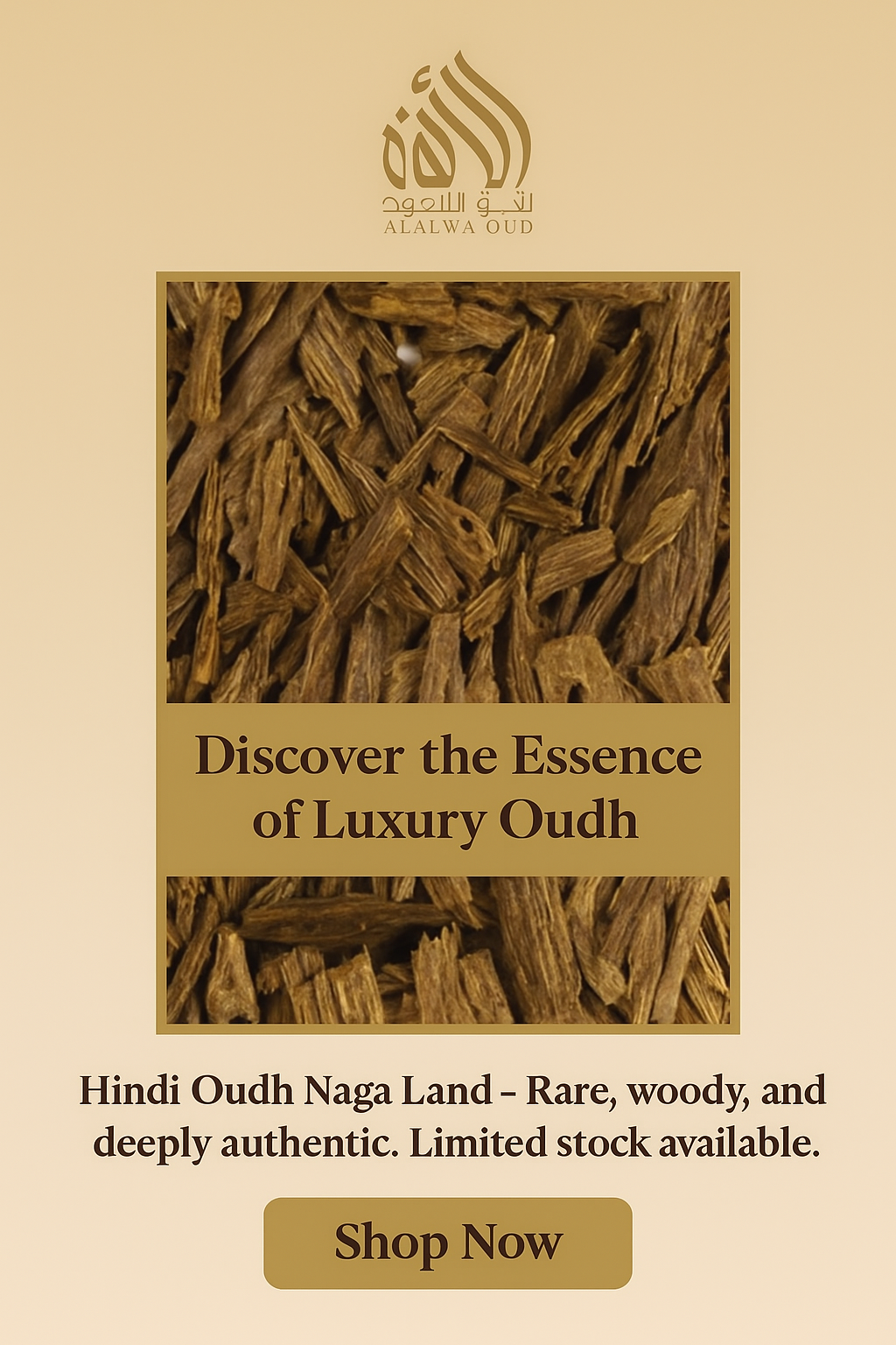 Hindi Oudh Naga Land